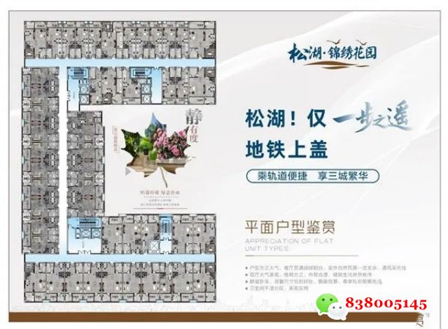 1690506978102910.jpg 640 (6).jpg