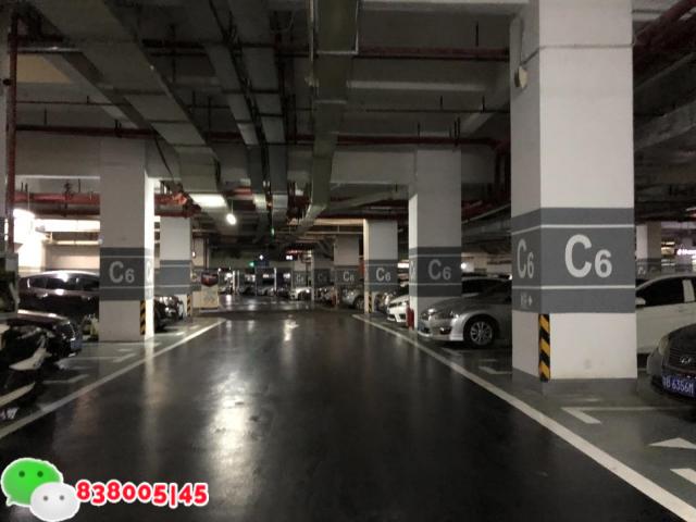 微信图片_2026-04-08_151921_288.jpg