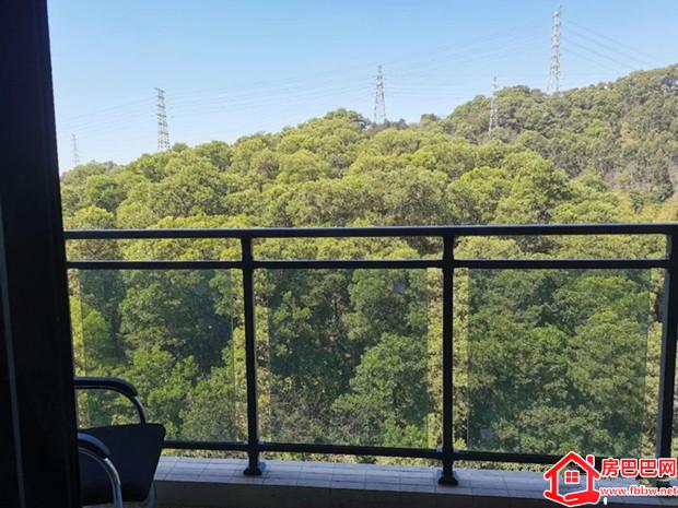 东莞凤岗碧湖小产权房[金碧花园]碧湖森林公园里的家；深圳10号线宏盈站旁