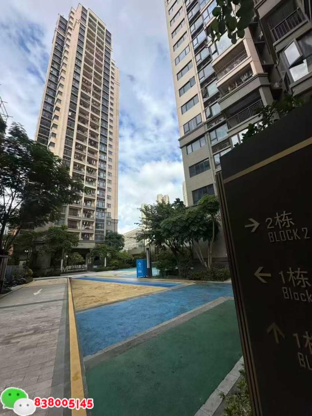 深圳坂田统建楼.jpg