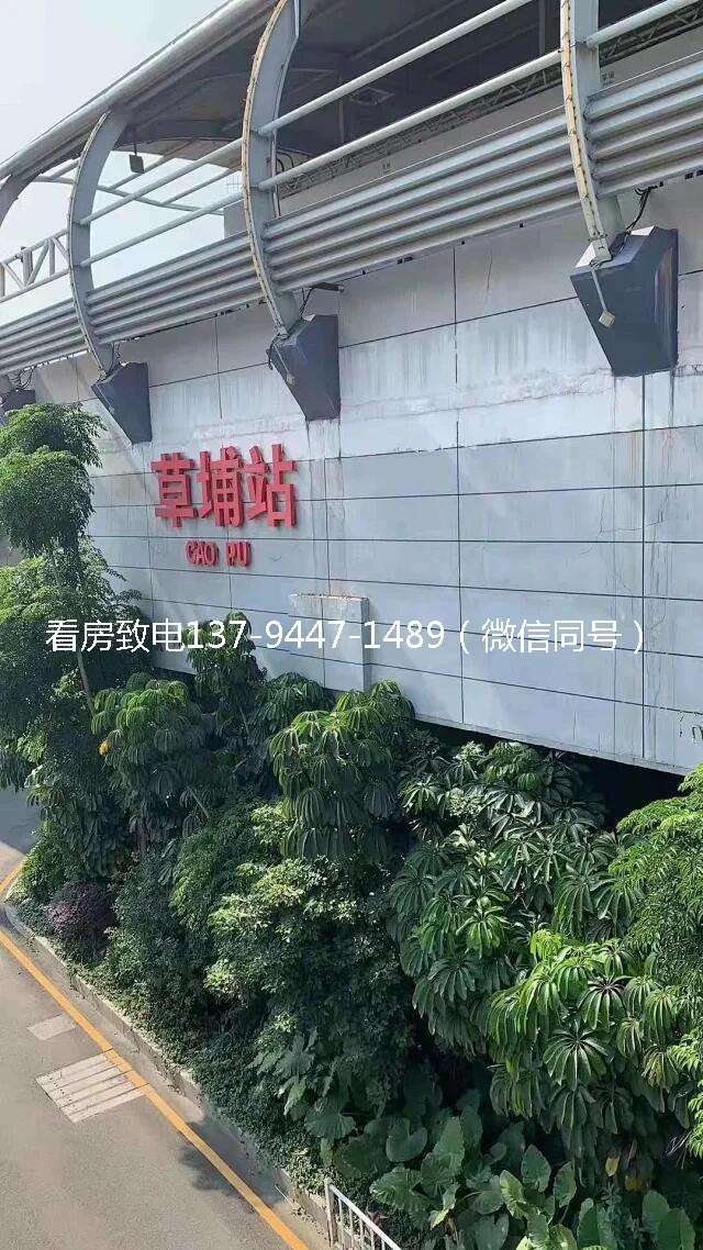 罗湖草埔小产权房旧改在即拆迁指日可待一夜暴富不是梦