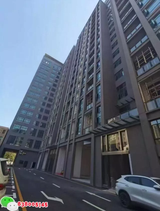 东莞地铁1号线(大岭山站)小产权房-大岭山松湖一品！双层停车场，管道煤气