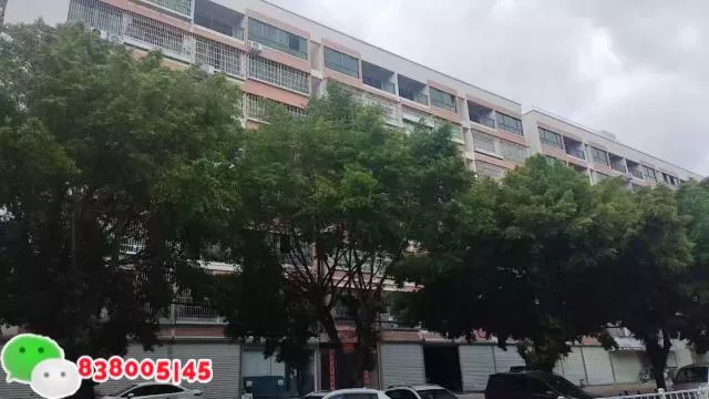 东莞清溪小产权【清溪公馆】铁松小产权房，三房总价36万