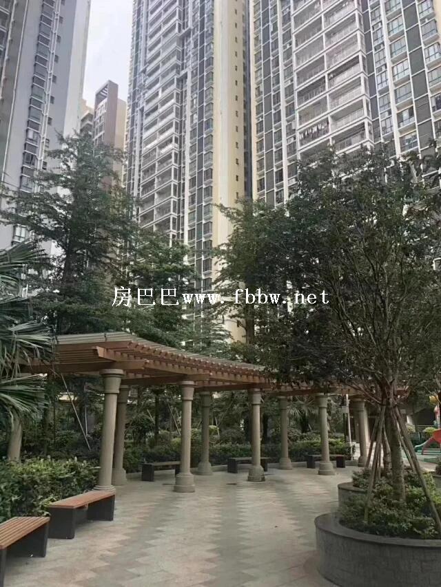 红星国际新城位于深圳市宝安区松岗.听说在维权什么原因