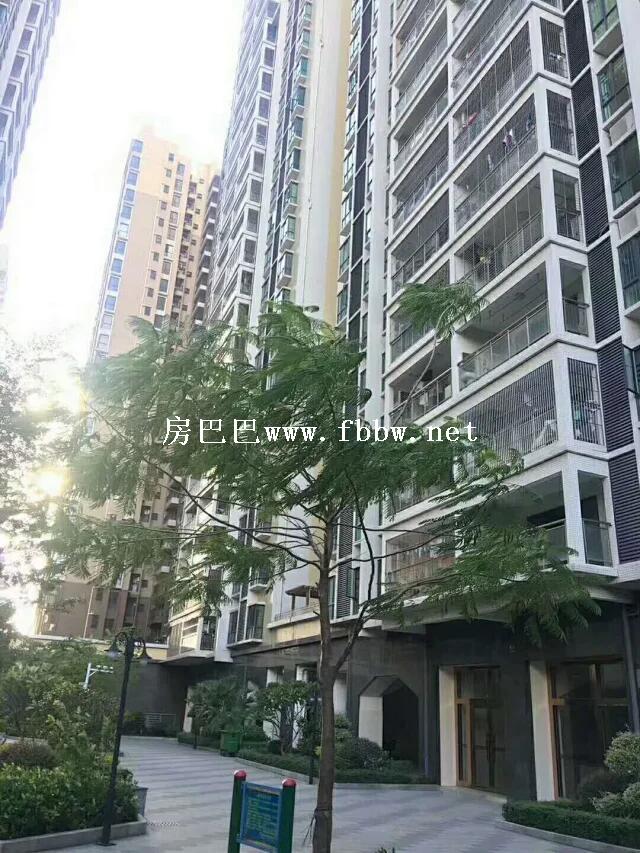 红星国际新城位于深圳市宝安区松岗.听说在维权什么原因