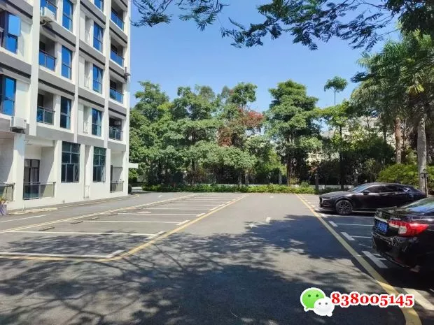 深圳6号线官田地铁站附近小产权房<石龙.蔚蓝花城>高性价比独门独院