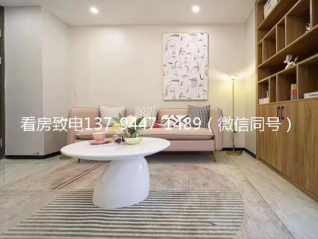 光明小产权房新盘_公明长圳正升华庭_再不速度,又要错过一个完美楼盘!