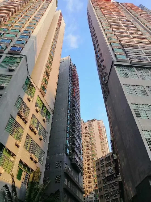 布吉厦村统建楼.png